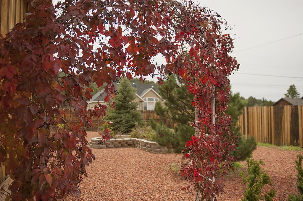 Grand Canyon Bed And Breakfast Williams Zewnętrze zdjęcie